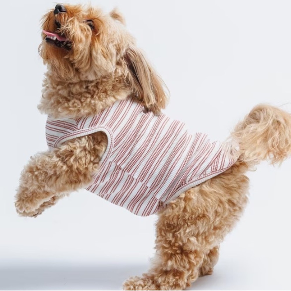 NEW XS DOG STRIPED SHIRT (NWT)
